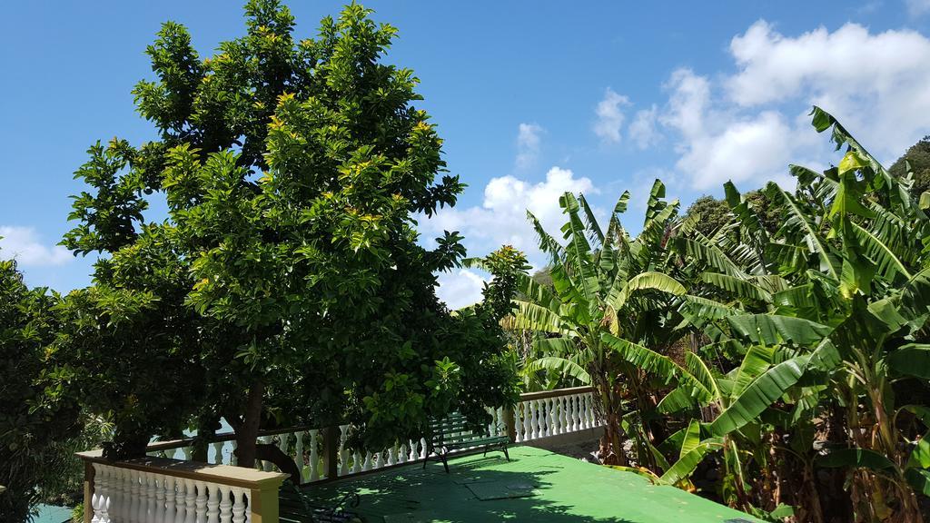 Ferienwohnung Hibiscus House Seychelles Self Catering Victoria Exterior foto
